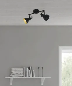 FLAIR Opbouwspot Alrakis 2-lichts Zwart-goud