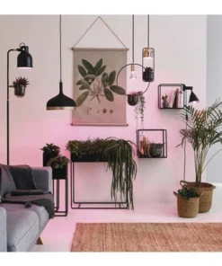 PAULMANN LED Grow Green Plantenlamp E27/6,5W R63 -Binnenverlichting Verkoopwinkel DV 8 10209214 05 4c CH 20191118211653