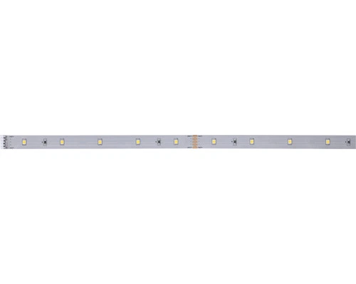PAULMANN MaxLED 250 LED-strip Warmwit 100 Cm Zilver Ongecoat 2 PAULMANN MaxLED 250 LED-strip Warmwit 100 Cm Zilver Ongecoat - Afbeelding 2