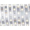 PAULMANN MaxLED 250 LED-strip Warmwit 250 Cm Zilver Ongecoat