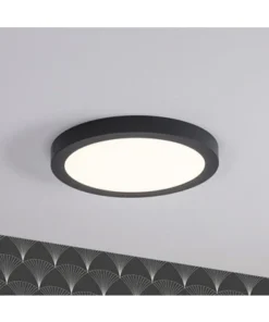 PAULMANN LED Plafonniere Abia Ø 30 Cm Donkergrijs