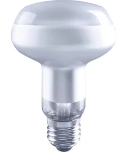 FLAIR LED Lamp E27/6,5W R80 Daglichtwit Mat