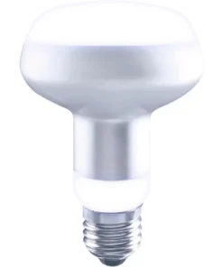 FLAIR LED Lamp E27/6,5W R80 Daglichtwit Mat -Binnenverlichting Verkoopwinkel DV 8 10445704 03 4c DE 20220204060555