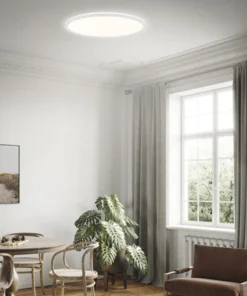 BRILONER LED-paneel 7080-016 Met Backlight Ø 42 Cm CCT Wit