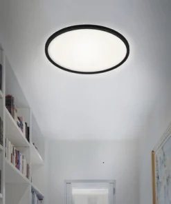 BRILONER LED-paneel 7157-415 Met Backlight Ø 42 Cm Neutraalwit Zwart