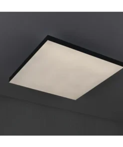 PAULMANN LED-paneel Loria Rainbow 45x45 Cm CCT+RGB Zwart -Binnenverlichting Verkoopwinkel DV 8 10469967 15 4c AT 20220707215824