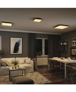 PAULMANN LED-paneel Loria Rainbow 29,5x29,5 Cm CCT+RGB Zwart -Binnenverlichting Verkoopwinkel DV 8 10469967 20 4c AT 20220708131758