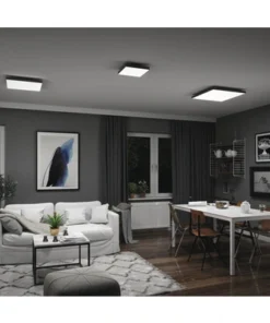 PAULMANN LED-paneel Loria Rainbow 29,5x29,5 Cm CCT+RGB Zwart -Binnenverlichting Verkoopwinkel DV 8 10469967 21 4c AT 20220708131758