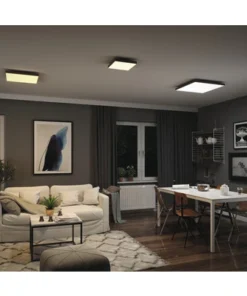 PAULMANN LED-paneel Loria Rainbow 45x45 Cm CCT+RGB Zwart -Binnenverlichting Verkoopwinkel DV 8 10469967 22 4c AT 20220708131758 1