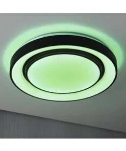 PAULMANN LED Plafonniere Spacycolor Ø 45 Cm RGBW Zwart