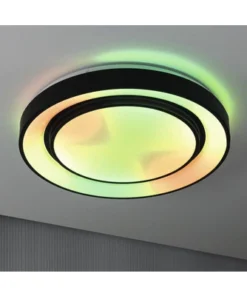 PAULMANN LED Plafonniere Spacycolor Ø 45 Cm RGBW Zwart -Binnenverlichting Verkoopwinkel DV 8 10469968 04 4c DE 20211117101651