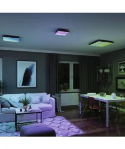 PAULMANN LED-paneel Loria Rainbow 45x45 Cm CCT+RGB Zwart -Binnenverlichting Verkoopwinkel DV 8 10469971 14 4c AT 20220708131758 1