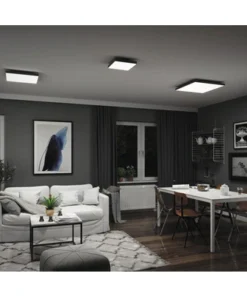 PAULMANN LED-paneel Loria Rainbow 59,5x59,5 Cm CCT+RGB Zwart -Binnenverlichting Verkoopwinkel DV 8 10469974 10 4c CH 20220209161925