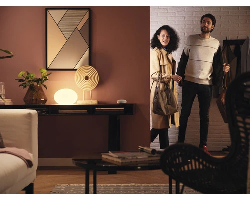 PHILIPS Hue White LED-lamp E27/9,5W A60 Warmwit, 2 Stuks 8 PHILIPS Hue White LED-lamp E27/9,5W A60 Warmwit, 2 Stuks - Afbeelding 8