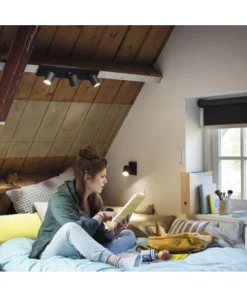 PHILIPS Hue White Ambiance LED Opbouwspot Runner 2-lichts Zwart -Binnenverlichting Verkoopwinkel DV 8 10476607 02 4c DE 20210809133039