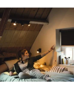 PHILIPS Hue White Ambiance LED Opbouwspot Runner 2-lichts Zwart -Binnenverlichting Verkoopwinkel DV 8 10476607 03 4c DE 20210809133124