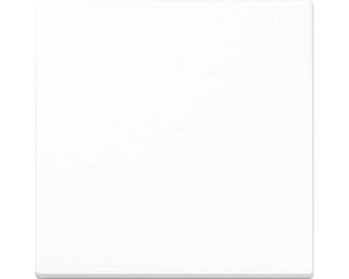 JUNG A500 Bedieningswipper Universeel Alpine Wit A 590 WW 1 JUNG A500 Bedieningswipper Universeel Alpine Wit A 590 WW