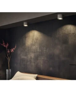 PHILIPS LED Opbouwspot Phase 1-lichts Wit