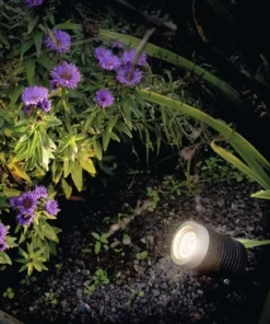 Binnenverlichting Verkoopwinkel -Binnenverlichting Verkoopwinkel DV 8 6236575 03 4c DE 20170203115507