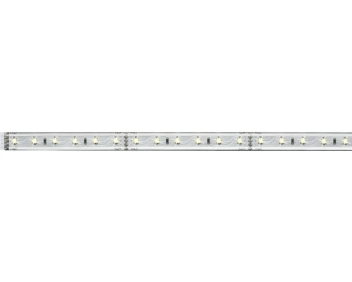 PAULMANN MaxLED 500 LED-strip Warmwit 100 Cm Zilver Gecoat 1 PAULMANN MaxLED 500 LED-strip Warmwit 100 Cm Zilver Gecoat