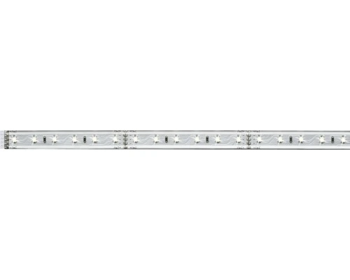 PAULMANN MaxLED 500 LED-strip Daglichtwit 100 Cm Zilver Gecoat 1 PAULMANN MaxLED 500 LED-strip Daglichtwit 100 Cm Zilver Gecoat