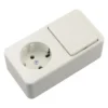 BERKER Opbouw Combinatie Wandcontactdoos (wcd) RA 1-voudig + Wisselschakelaar Polarwit