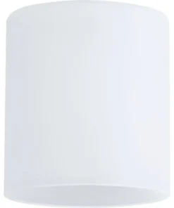 PAULMANN DecoSystems Lampenkap Zyli Glas Wit