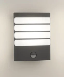 PHILIPS LED Buitenlamp Raccoon Met Sensor Antraciet -Binnenverlichting Verkoopwinkel DV 8 8903442 06 4c DE 20201029112705